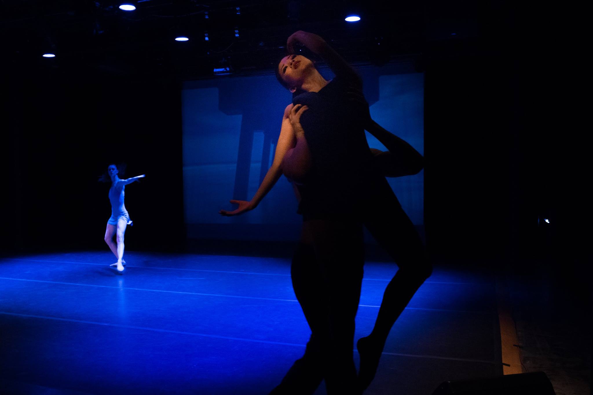 17097759_10154713722417034_2265117272711023802_o