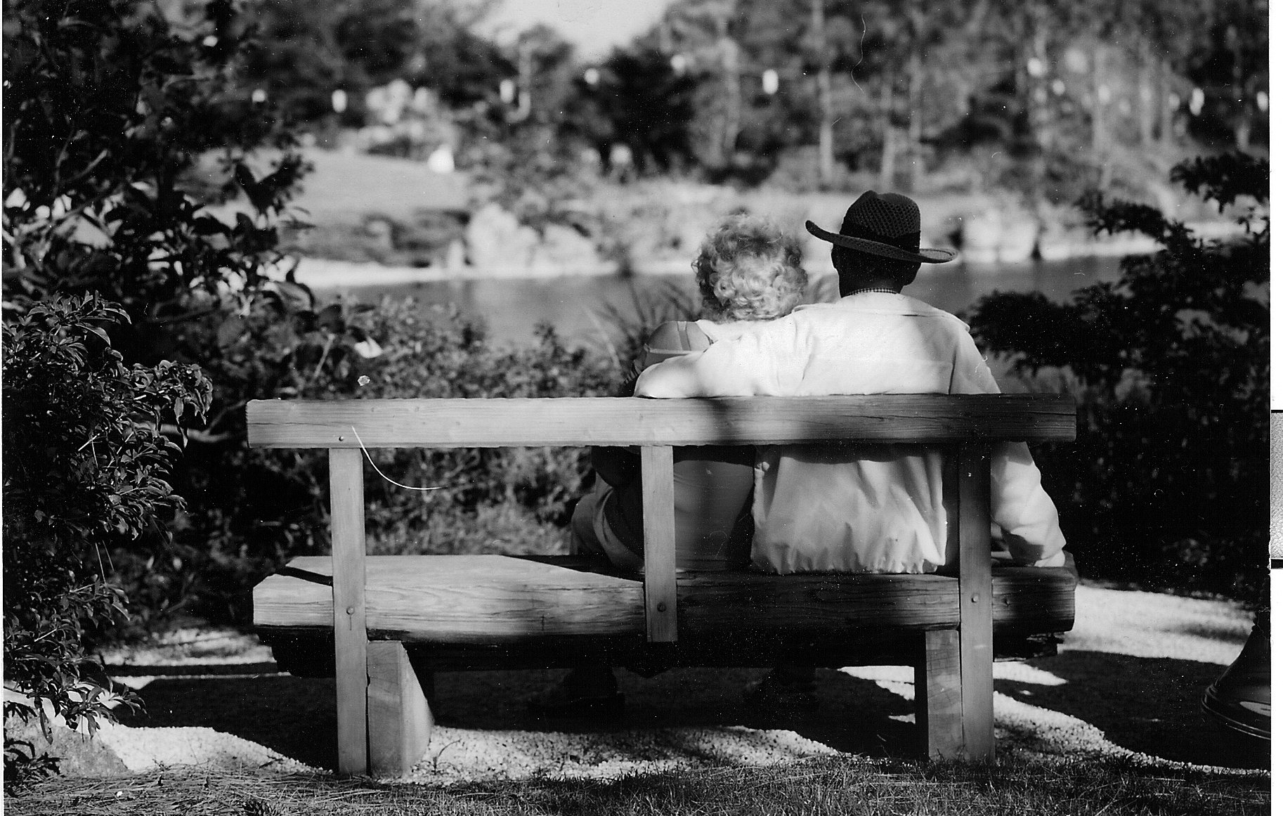 sitting in the garden