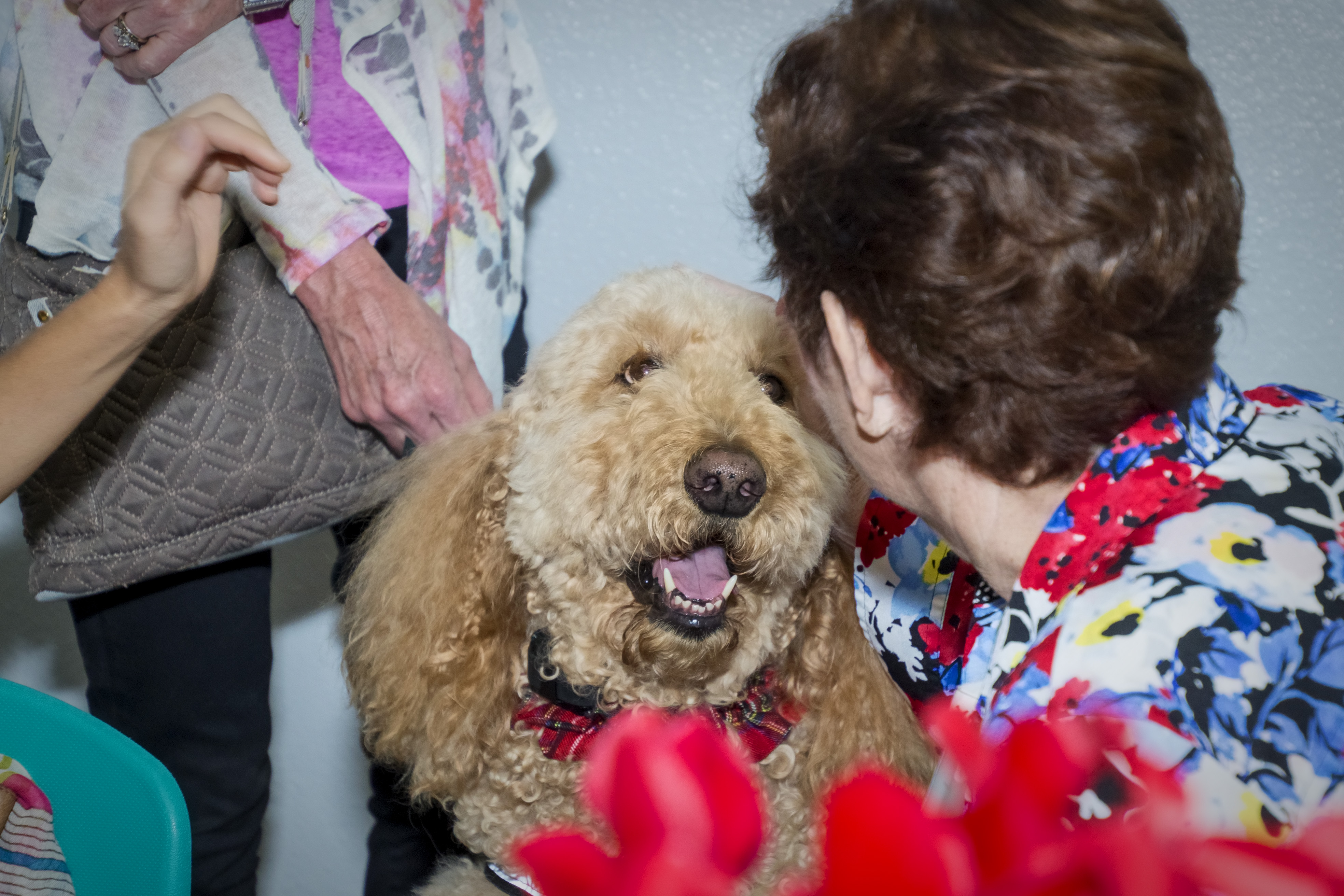 JeanneAuggie_MemoryMonday