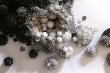 3_AmyGross_SilverBeesAdapting_Detail