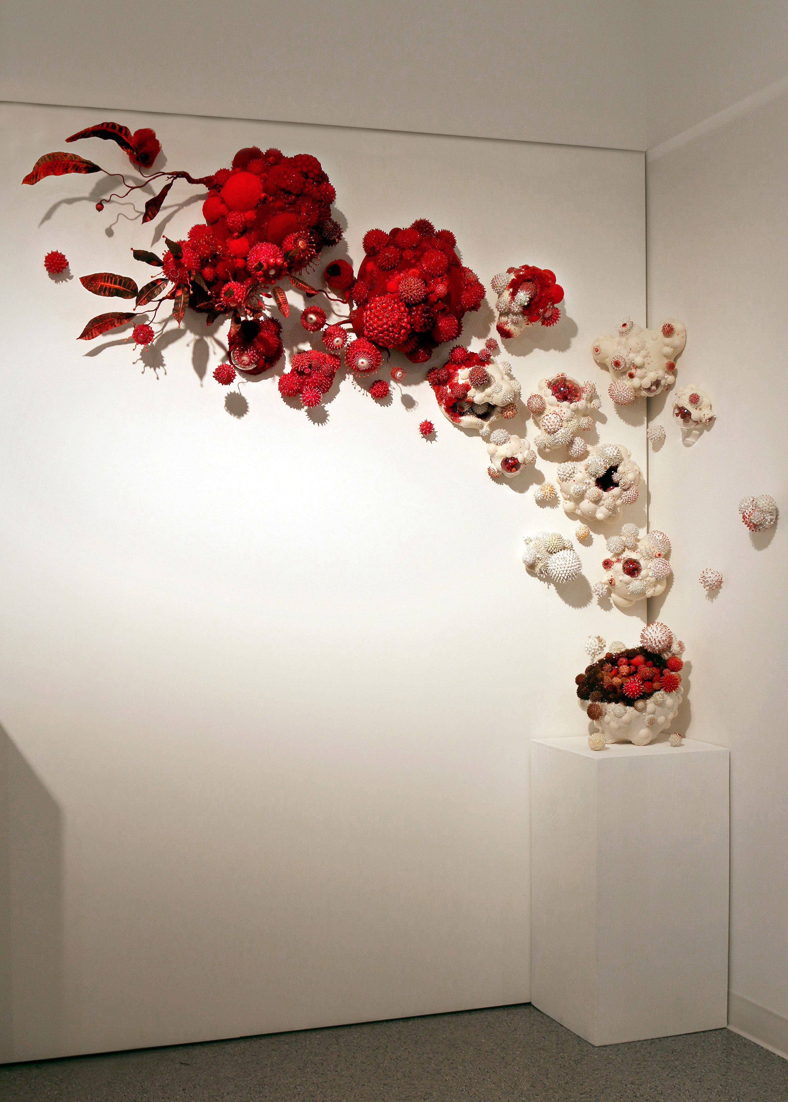 4_AmyGross_SporaMutatus