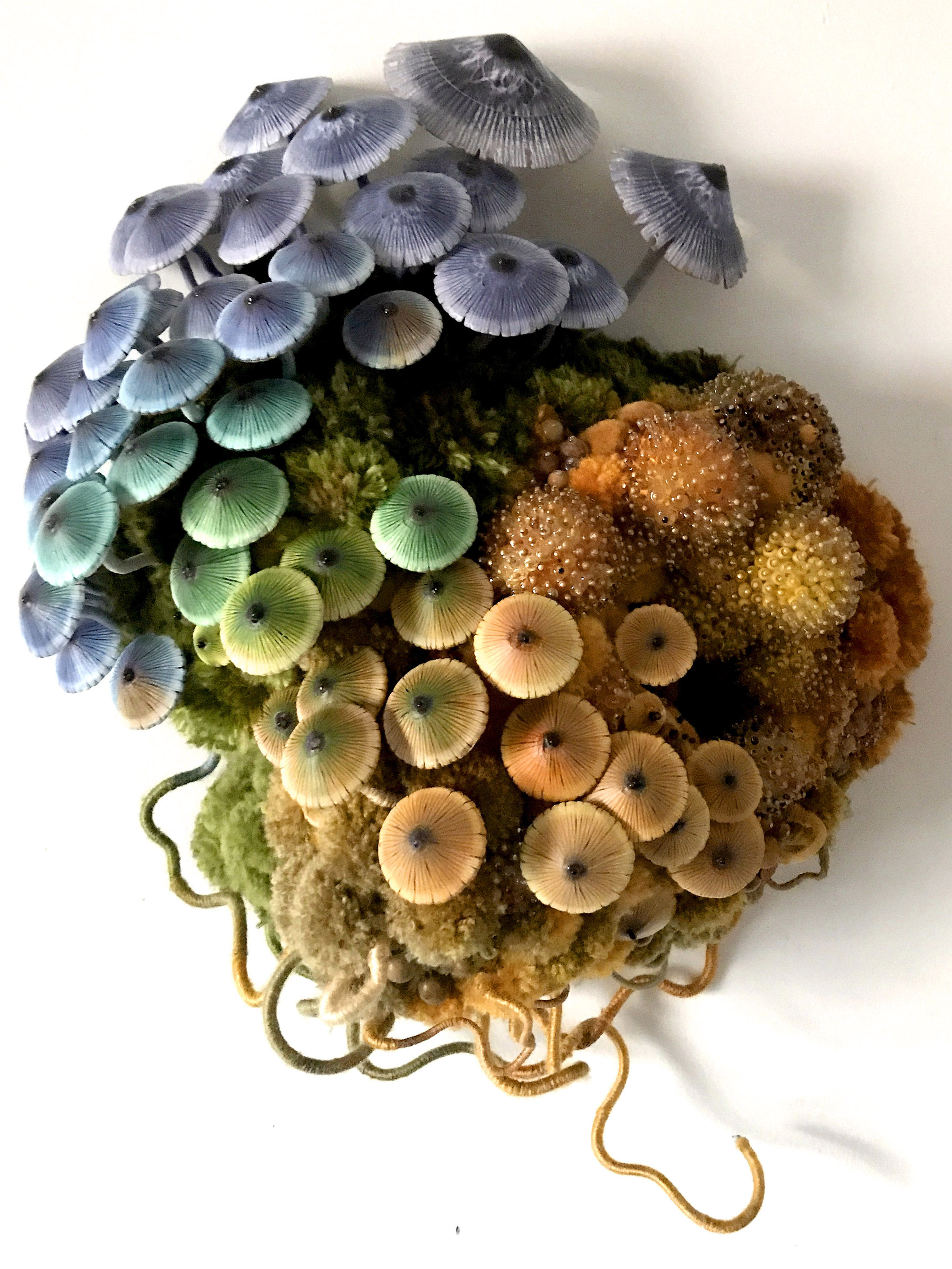 5_AmyGross_IrisMushroomBiotope