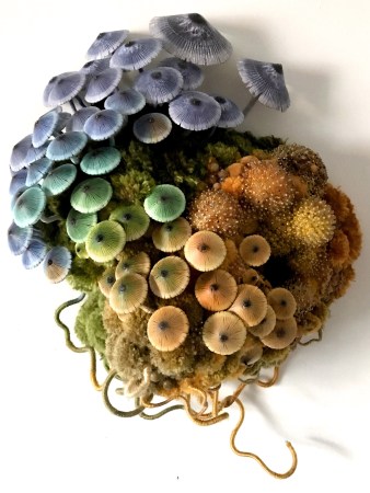 5_AmyGross_IrisMushroomBiotope