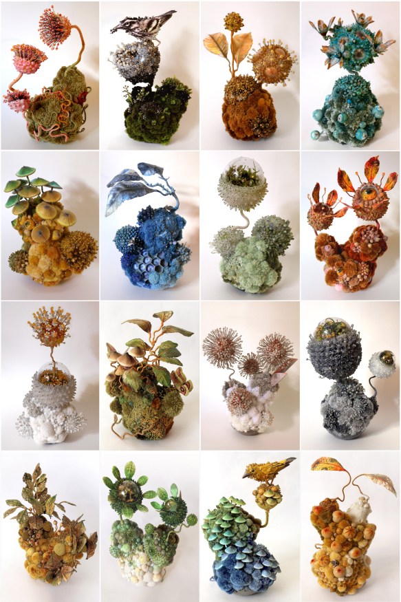 7_AmyGross_16Biotopes